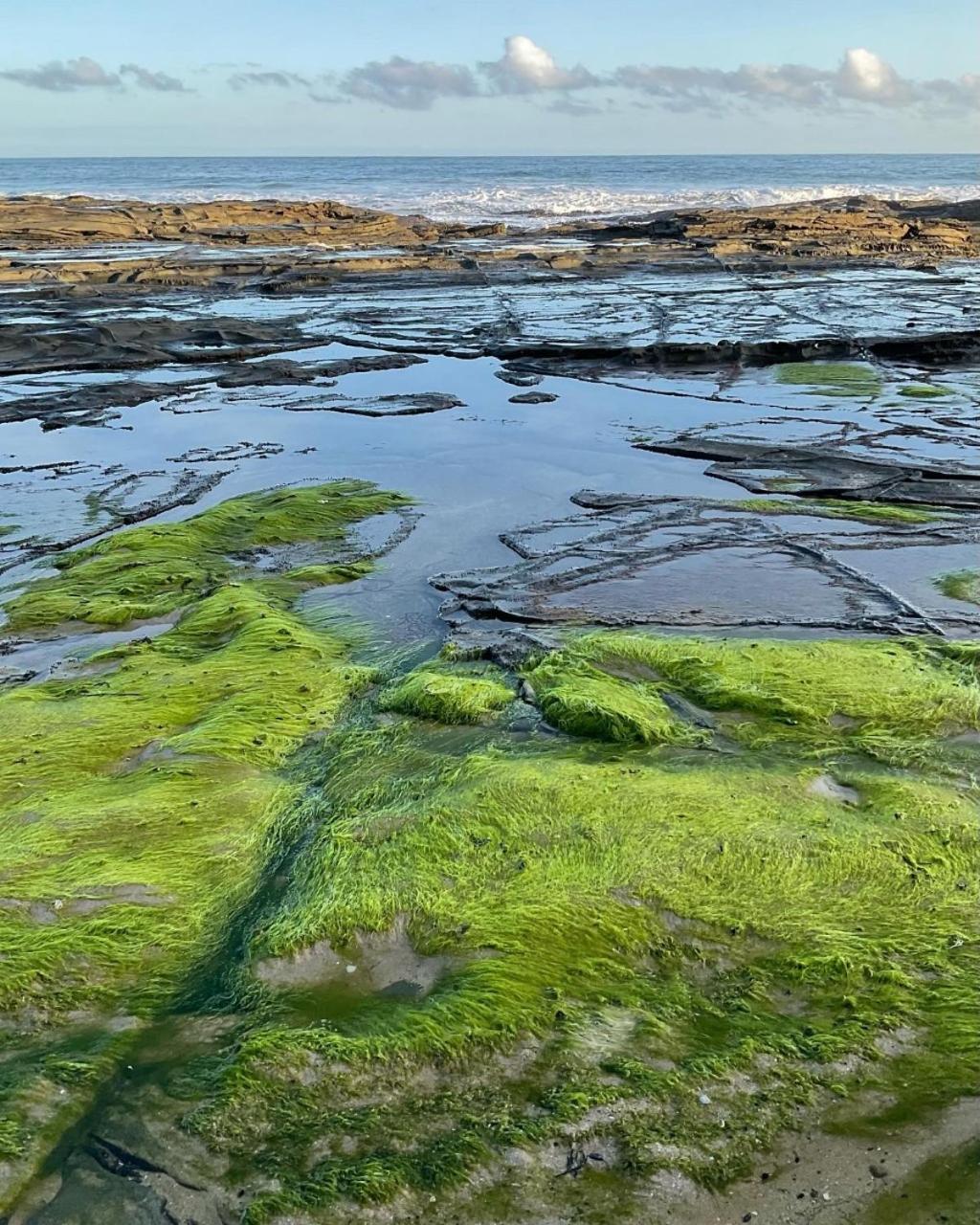 הוילה Wongarra Points South By The Sea מראה חיצוני תמונה